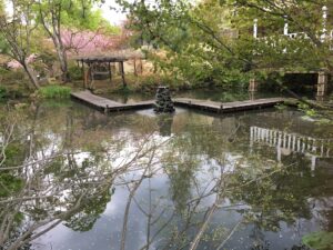 宏楽園の庭の池