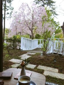 宏楽園ラウンジから見た桜