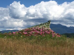 大雪森のガーデン、丘の上の花